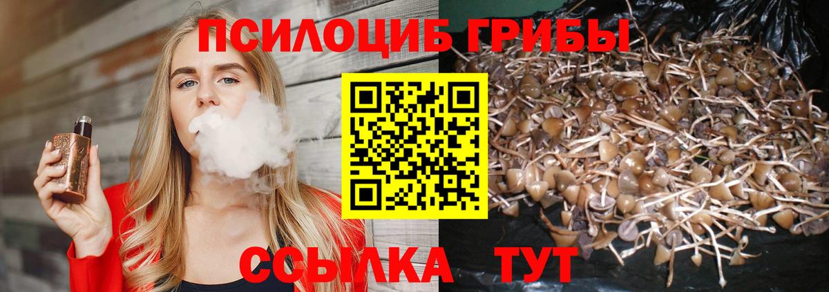 Мелеуз  купить   Галлюциногенные грибы MAGIC MUSHROOMS  Вход с VPN  Галлюциногенные грибы Cubensis 