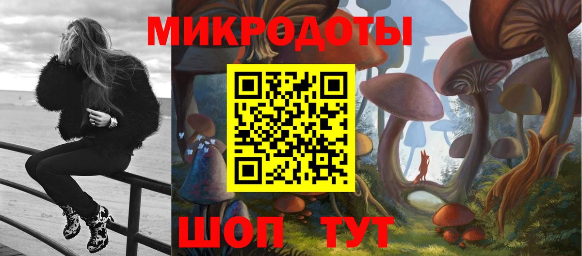 Галлюциногенные грибы Psilocybine cubensis Мелеуз